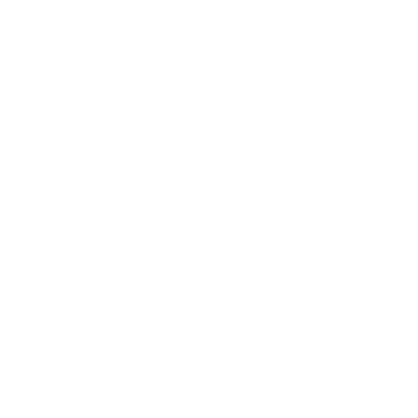 NEF Animation